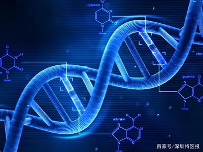 深圳為細(xì)胞和基因產(chǎn)業(yè)立法 劃定創(chuàng)新與倫理紅線，擬明令禁止生殖基因編輯